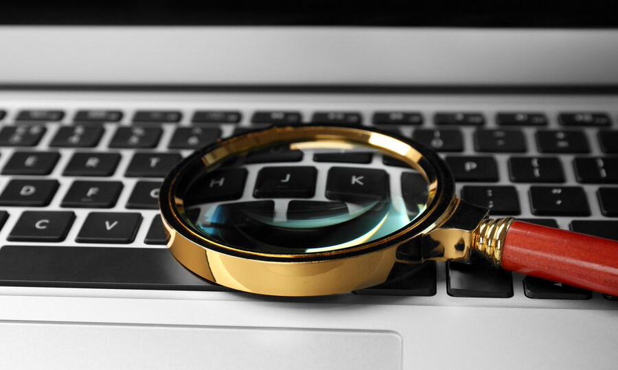 Cazier judiciar online